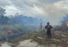 Pemadaman Karhutla Teluk Sampit