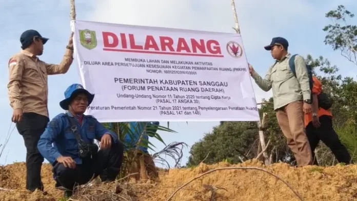 Pemkab Sanggau Sanksi Perusahaan yang Tanam Sawit